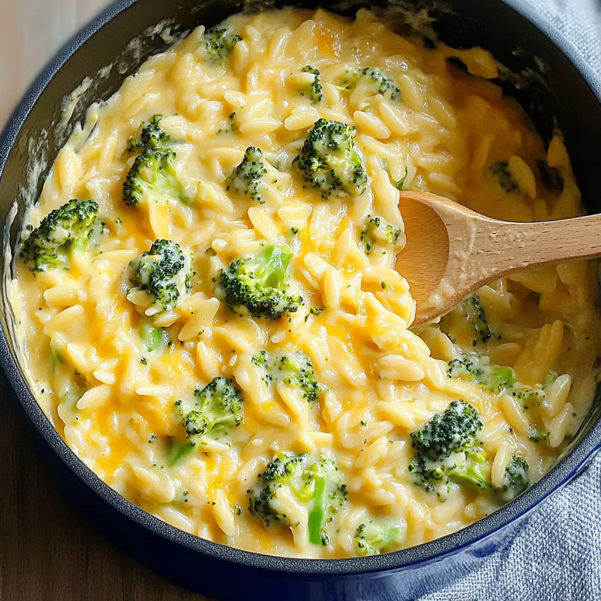 Creamy One-Pot Broccoli Cheddar Orzo